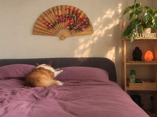 Blossoms — Large Chinese Folding Fan Wall Decor | 88 cm | Rice cloth | Handcrafted in China